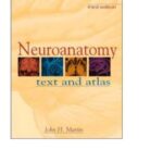 خرید و دانلود نسخه کامل کتاب Neuroanatomy : text and atlas