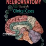 خرید و دانلود نسخه کامل کتاب Neuroanatomy Through Clinical Cases