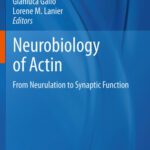 خرید و دانلود نسخه کامل کتاب Neurobiology of Actin: From Neurulation to Synaptic Function