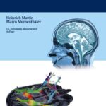 خرید و دانلود نسخه کامل کتاب Neurologie