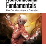خرید و دانلود نسخه کامل کتاب Neuromuscular Fundamentals: How Our Musculature is Controlled