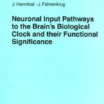 خرید و دانلود نسخه کامل کتاب Neuronal Input Pathways to the Brain’s Biological Clock and their Functional Significance (Advances in Anatomy, Embryology and Cell Biology)
