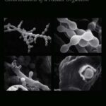 خرید و دانلود نسخه کامل کتاب Neurospora: Contributions of a Model Organism