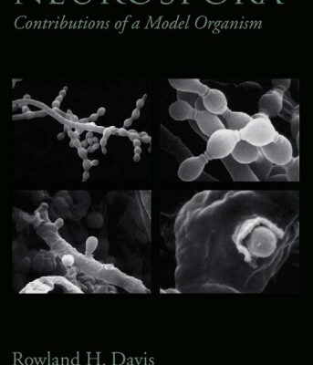 خرید و دانلود نسخه کامل کتاب Neurospora: Contributions of a Model Organism