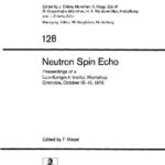 خرید و دانلود نسخه کامل کتاب Neutron Spin Echo
