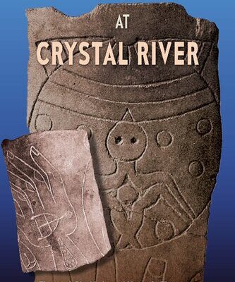 خرید و دانلود نسخه کامل کتاب New Histories of Village Life at Crystal River