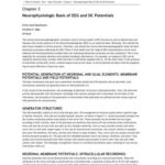 خرید و دانلود نسخه کامل کتاب Nidermeyer’s Electroencephalography