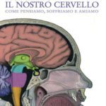 خرید و دانلود نسخه کامل کتاب Noi siamo il nostro cervello. Come pensiamo, soffriamo e amiamo