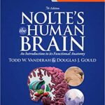 خرید و دانلود نسخه کامل کتاب Nolte’s The Human Brain: An Introduction to its Functional Anatomy (7th Edition) – Orginal Pdf