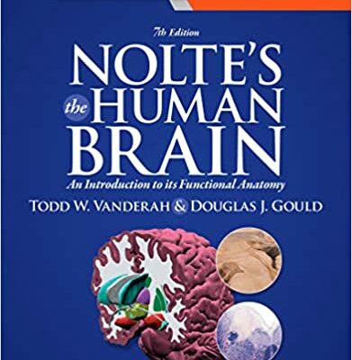 خرید و دانلود نسخه کامل کتاب Nolte’s The Human Brain: An Introduction to its Functional Anatomy (7th Edition) – Orginal Pdf
