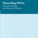 خرید و دانلود نسخه کامل کتاب Non-Coding RNAs: Molecular Biology and Molecular Medicine