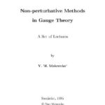 خرید و دانلود نسخه کامل کتاب Non-perturbative methods in gauge theory