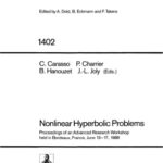 خرید و دانلود نسخه کامل کتاب Nonlinear Hyperbolic Problems