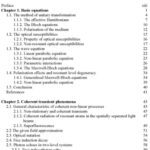 خرید و دانلود نسخه کامل کتاب Nonlinear optical waves