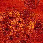 خرید و دانلود نسخه کامل کتاب Nonviral Vectors for Gene Therapy. Methods and Protocols