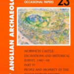 خرید و دانلود نسخه کامل کتاب Norwich Castle: Excavations and Historical Survey, 1987-98. Part IV: People and Property in the Documentary Record