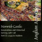 خرید و دانلود نسخه کامل کتاب Norwich Castle: Excavations and Historical Survey, 1987-98. Part II: c. 1345 – Modern