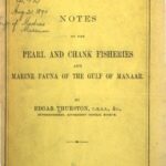 خرید و دانلود نسخه کامل کتاب Notes on the pearl and chank fisheries and marine fauna of the Gulf of Manaar