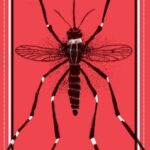 خرید و دانلود نسخه کامل کتاب O mosquito: A incrível história do maior predador da humanidade