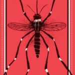 خرید و دانلود نسخه کامل کتاب O mosquito: A incrível história do maior predador da humanidade