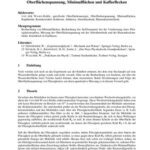 خرید و دانلود نسخه کامل کتاب Oberflächenspannung, Minimalflächen und Kaffeeflecken