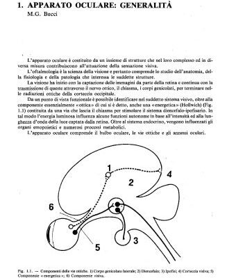 خرید و دانلود نسخه کامل کتاب Oftalmologia