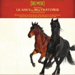 خرید و دانلود نسخه کامل کتاب Old Town Road [Remix] Sheet Music
