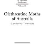 خرید و دانلود نسخه کامل کتاب Olethreutine Moths of Australia (Monographs on Australian Lepidoptera, Volume 10)