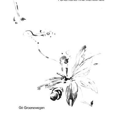 خرید و دانلود نسخه کامل کتاب On spaces of Banach lattice valued functions and measures [PhD Thesis]