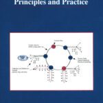خرید و دانلود نسخه کامل کتاب Optical WDM Networks – Principles and Practice (The Springer International Series in Engineering and Computer Science)