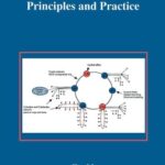 خرید و دانلود نسخه کامل کتاب Optical WDM Networks – Principles and Practice