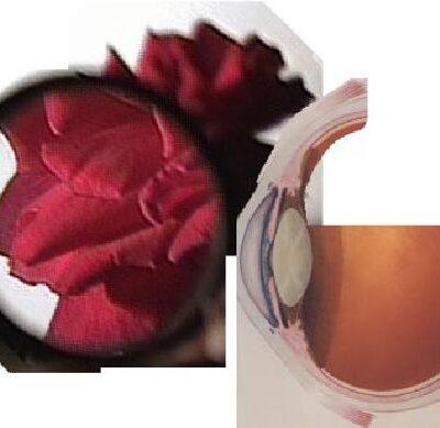 خرید و دانلود نسخه کامل کتاب Optics