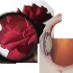 خرید و دانلود نسخه کامل کتاب Optics