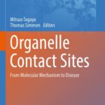 خرید و دانلود نسخه کامل کتاب Organelle Contact Sites From Molecular Mechanism to Disease