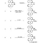 خرید و دانلود نسخه کامل کتاب Organic Syntheses An annual publication of satisfactory methods