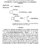 خرید و دانلود نسخه کامل کتاب Organic Syntheses An annual publication of satisfactory methods