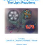 خرید و دانلود نسخه کامل کتاب Oxygenic Photosynthesis: The Light Reactions