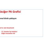 خرید و دانلود نسخه کامل کتاب PA Akciğer Grafisi Temel Klinik Yaklaşım