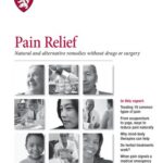 خرید و دانلود نسخه کامل کتاب Pain Relief: Natural and alternative remedies without drugs or surgery