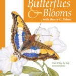 خرید و دانلود نسخه کامل کتاب Painting Butterflies & Blooms with Sherry C. Nelson