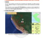 خرید و دانلود نسخه کامل کتاب Pandemia coronavirus en el Perú. Informe de emergencia N° 856 – 15/12/2020