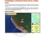 خرید و دانلود نسخه کامل کتاب Pandemia coronavirus en el Perú. Informe de emergencia N° 846 – 11/12/2020