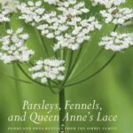 خرید و دانلود نسخه کامل کتاب Parsleys, Fennels, and Queen Anne’s Lace: Herbs and Ornamentals from the Umbel Family