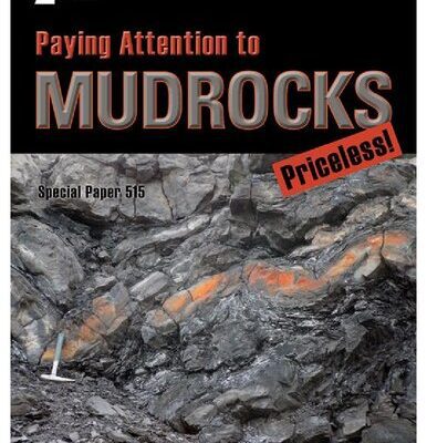 خرید و دانلود نسخه کامل کتاب Paying Attention to Mudrocks: Priceless!