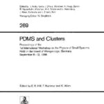 خرید و دانلود نسخه کامل کتاب PDMS and Clusters