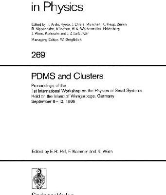 خرید و دانلود نسخه کامل کتاب PDMS and Clusters
