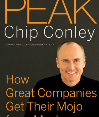 خرید و دانلود نسخه کامل کتاب Peak: How Great Companies Get Their Mojo from Maslow (J-B US non-Franchise Leadership)