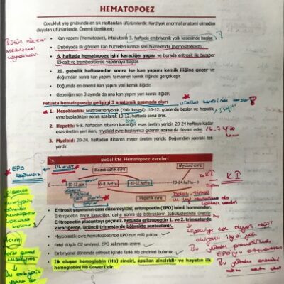 خرید و دانلود نسخه کامل کتاب Pediatrik Hematoloji Notu