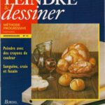 خرید و دانلود نسخه کامل کتاب Peindre et Dessiner. Vol. 22. Peindre avec des crayons de couleur. Sanguine, craie et fusain