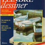 خرید و دانلود نسخه کامل کتاب Peindre et Dessiner. Vol. 25. Les encres et le lavis. Lavis avec des encres de couleur